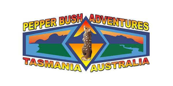 web site development for Pepper Bush Adventure by wizard web design Tasmania